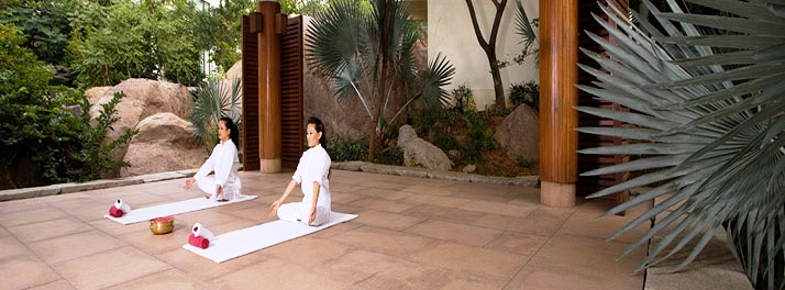 773/Hyatt Hyderabad Gachibowli - Hyderabad 15.jpg